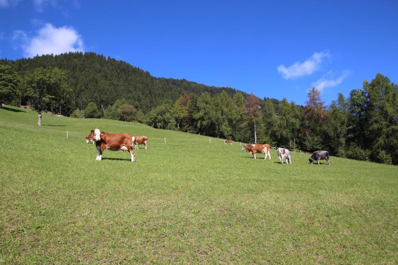 Gasthof Walde 리피아노 외부 사진