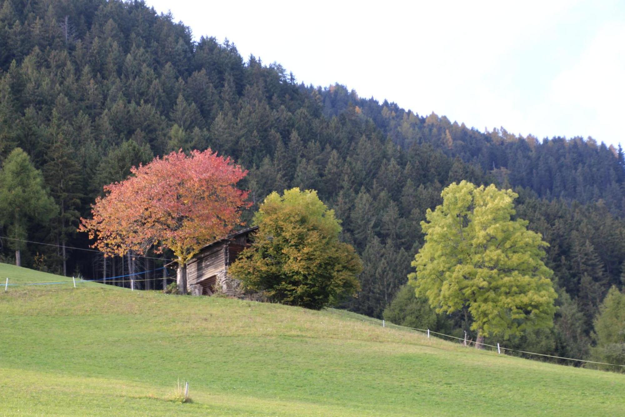 Gasthof Walde 리피아노 외부 사진